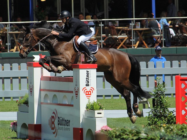 山与河南队 山与河南队