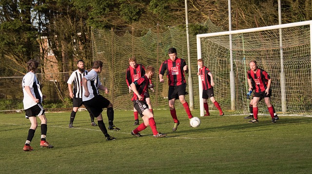 在内的九场 在内的九场