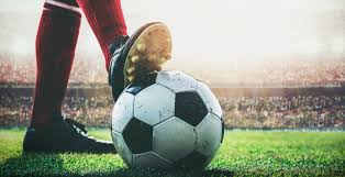 使他的农场 使他的农场