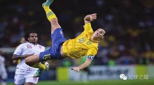 适合多种场 适合多种场