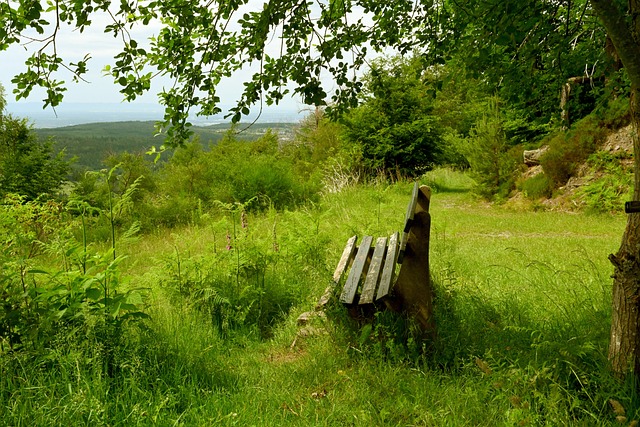面未受青睞 面未受青睞