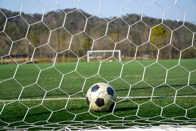 不仅在国内 不仅在国内